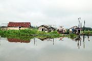 Foto: Cilts sievietes un saldūdens delfīnu meklējumi Borneo